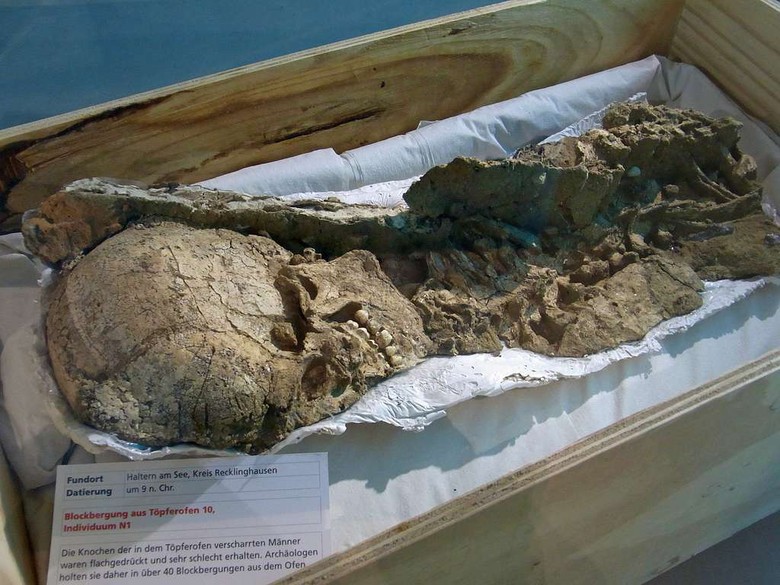 Eines der geborgenen Skelette in einer Kiste im Museum. Es liegt auf einem weißen Füllmaterial.