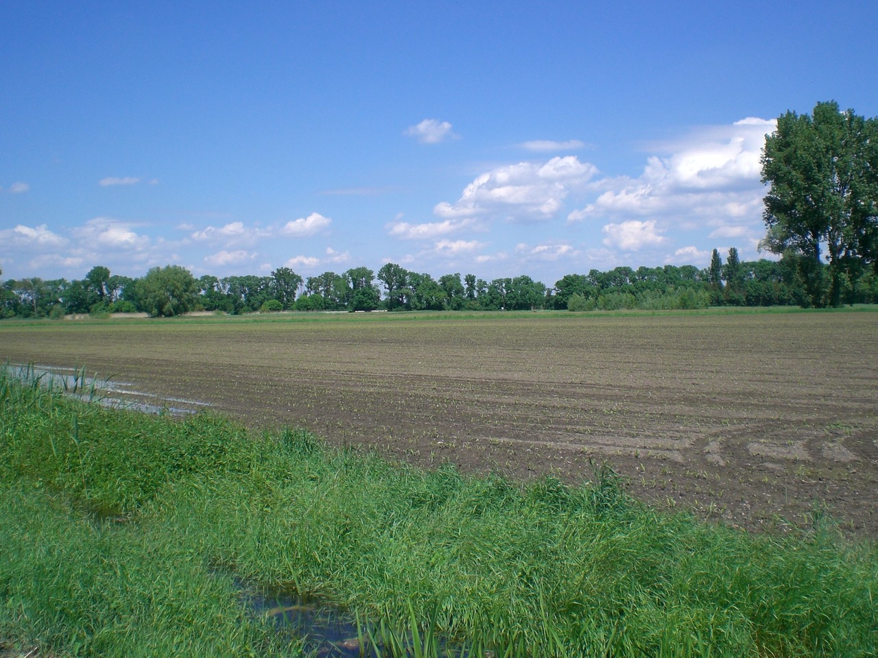 Das Begehungsgebiet (Foto: Biggi Schroeder)