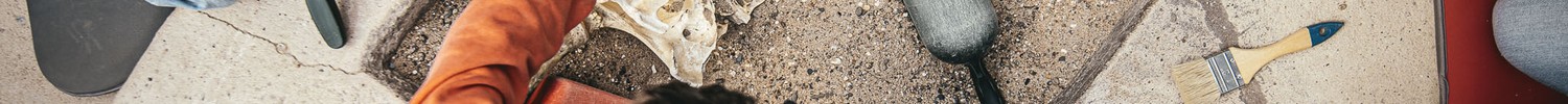 Kinder beim Graben