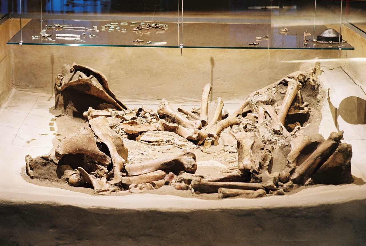 Bild der Pferde wie sie im Museum ausgestellt sind.