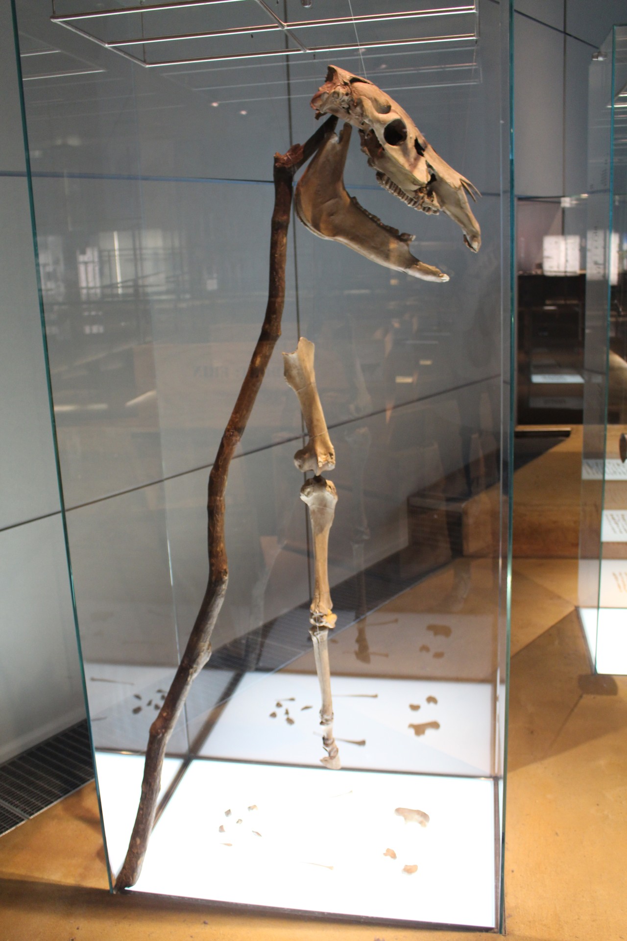 Pferdeopfer