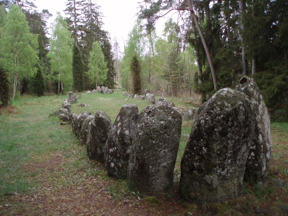 Ca. einen halben Meter hohe graue Steine auf einer Lichtung in einem Wald, die in der Form der Umrandung eines Schiffes aufgestellt sind.