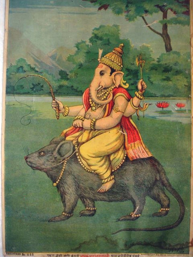 Auf dem Bild sieht man den Elefantenköpfigen Ganesha, der auf einer riesigen Ratte reitet. Er trägt eine gelblich Indische Hose und eine rote Weste. Er und seine Ratte tragen goldenen Schmuck. Er hat vier Arme und Hände, in seinem einen Arm hält er eine Peitsche, bei dein anderen zwei Händen hält er ein Seil der auf der Ratte ist. Im Hintergrund sind sie auf einem Graß, hinter ihnen sind Bäume und ein Fluss auf dem rote Lotusblumen drauf sind.