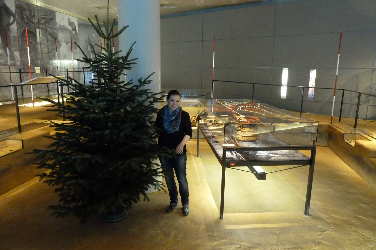 Gleichberechtigung überall: Sogar der Fürst von Beckum bekam seinen Weihnachtsbaum. Oder wollte man den Hausgeist nur besänftigen …? Foto: C. Moors
