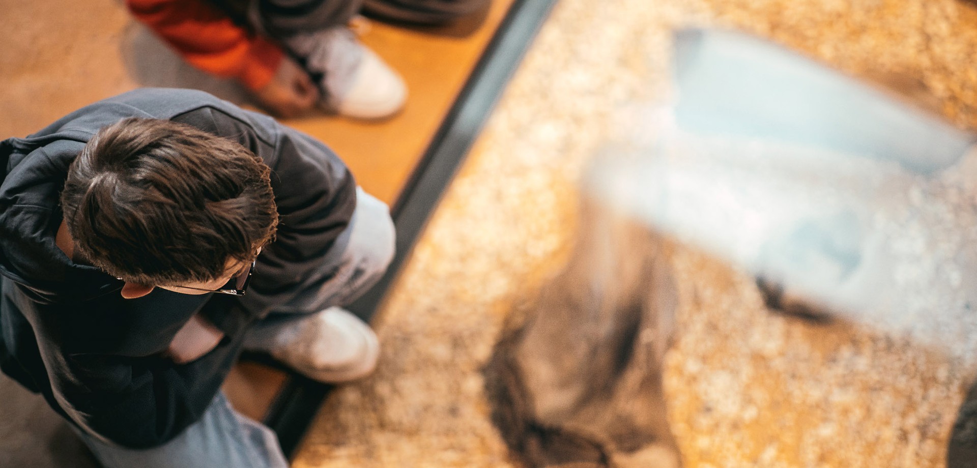 Kinder betrachten die Vitrine mit Mammutknochen, die im Boden eingelassen ist.
