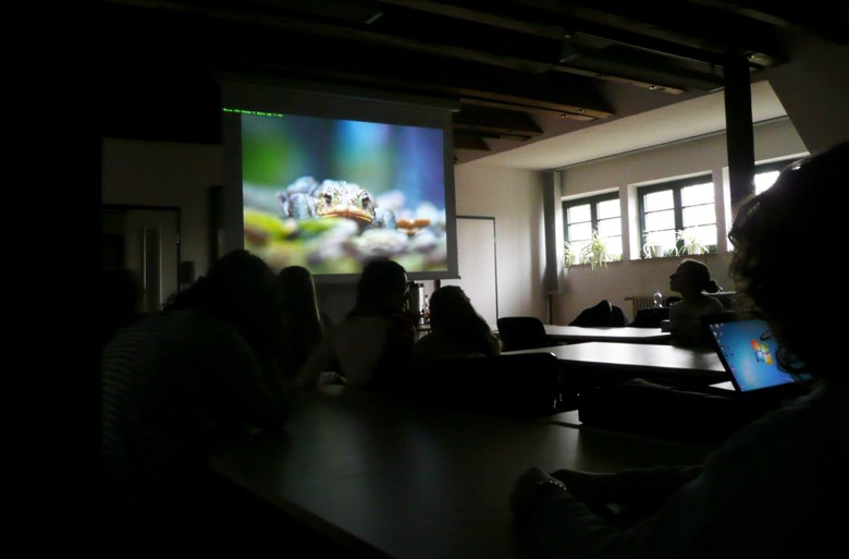 Das Endergebnis
