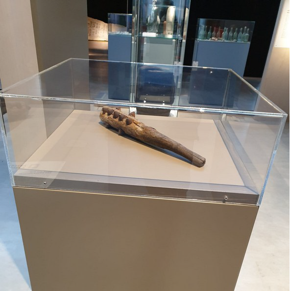 Keulenförmiges Holzstück mit Metallspitzen auf einem braunen Podest