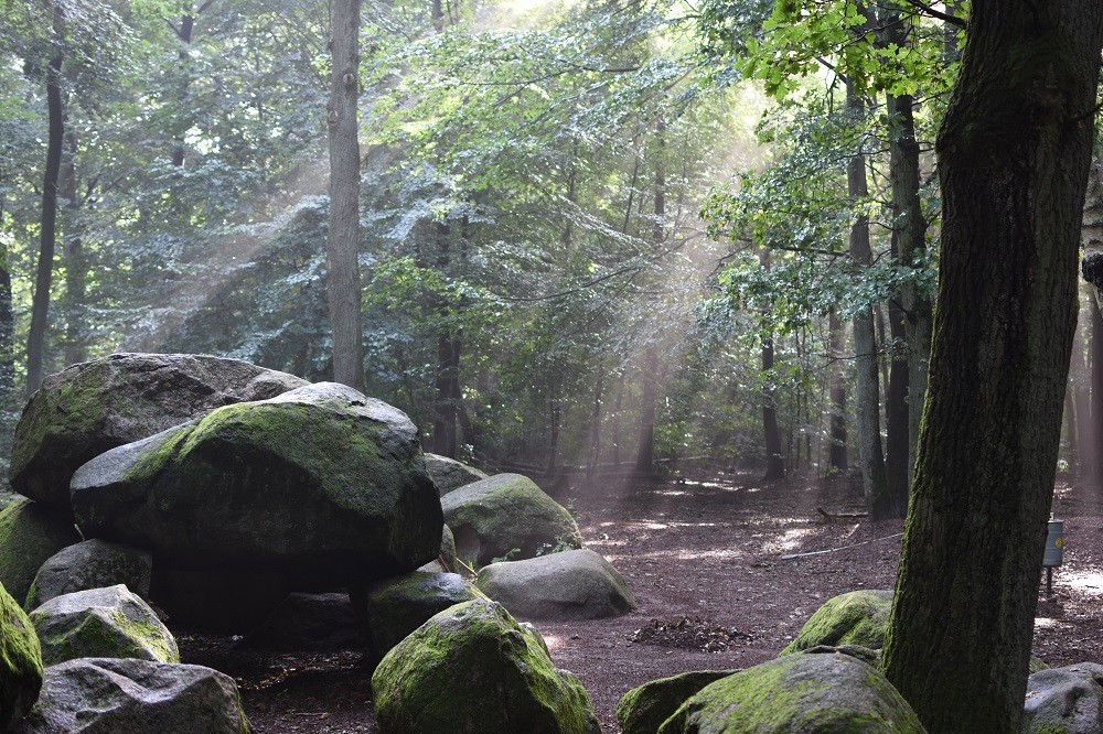 Die großen Sloopsteene umgeben von Wald