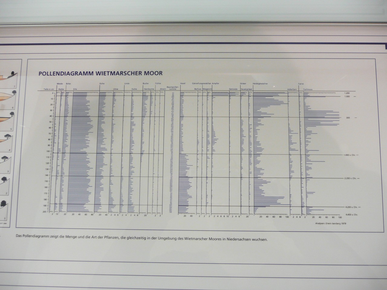 Pollendiagramm im Forscherlabor (Foto: A. Babetzki).