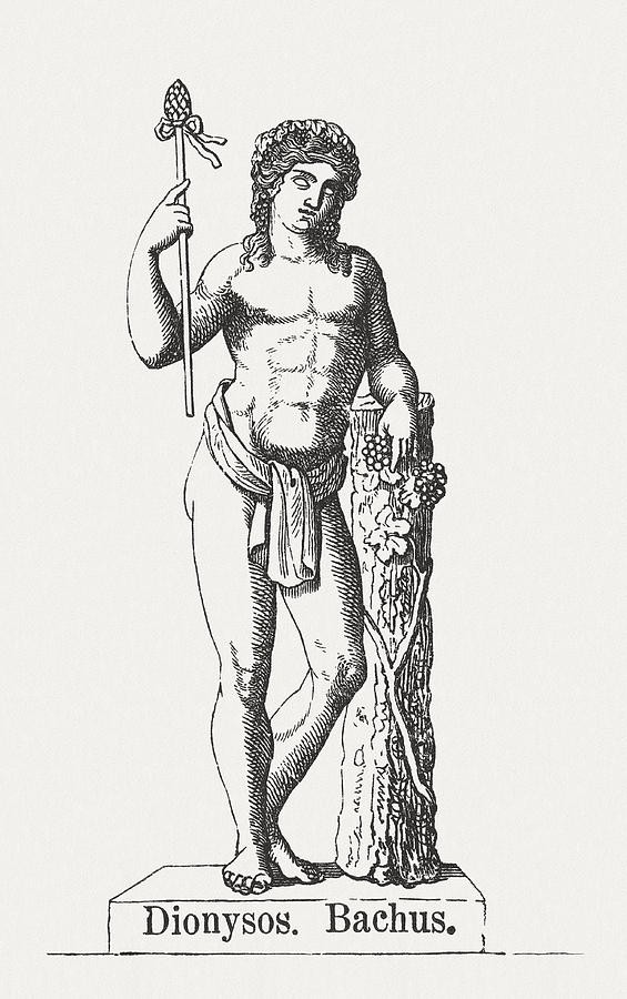 Farblose Zeichnung einer Statue des griechischen Weingottes Dionysos. Er steht aufrecht auf einem kleinen Podest und lehnt auf einem Baum, in der anderen Hand hält er ein Zepter. Um seine Hüfte trägt er ein Tuch.