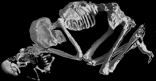 Auf dieser schwarz-weißen Illustration sieht man die Bestattung eines Kindes mit einem Junghund, aus Israel um 12.000 v. Chr. Das Kind und der Hund sind als Skelette dargestellt. Das Kind liegt in Seitenlage, die Beine sind eng am Körper angewinkelt. Die Arme des Kindes sind ebenfalls angewinkelt, die Hände berühren die Stirn. Das Kind hat die Hände auf dem Rücken des Hundes, der ebenfalls in Seitenlage liegt.